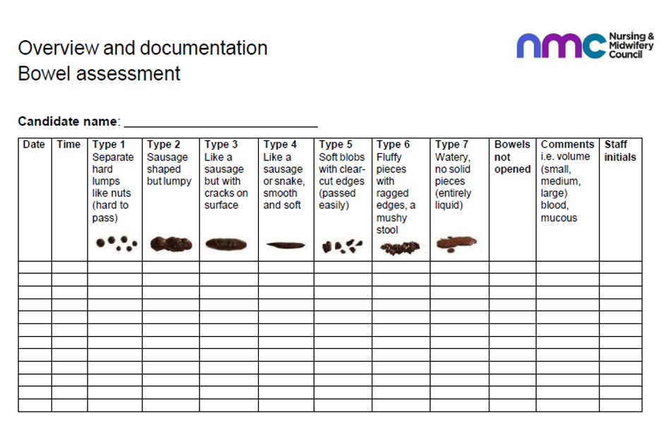 Bowel Assessment Overview and Documentation Chart