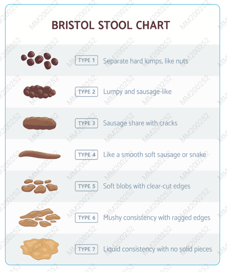 Bristol Stool Chart