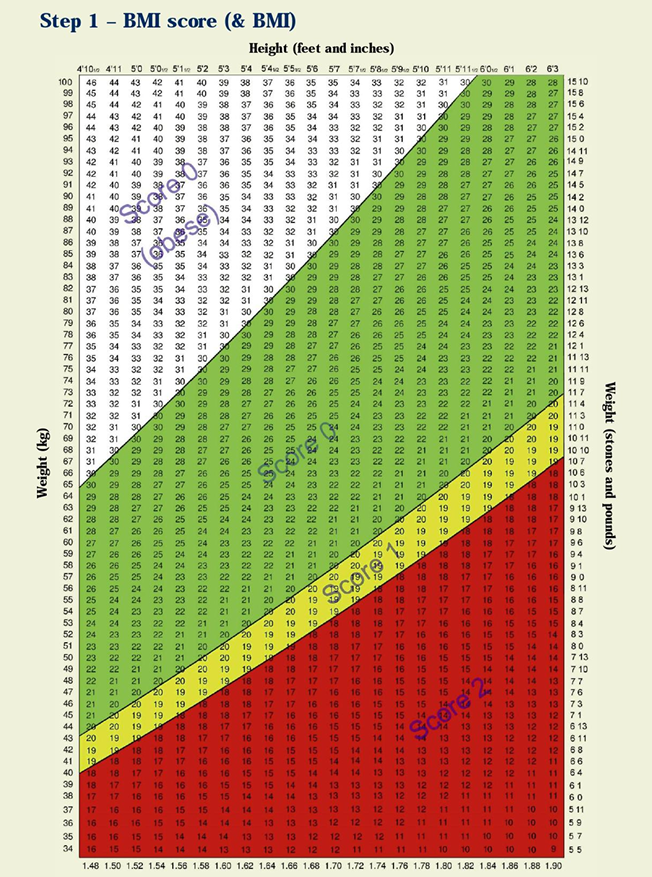 MUST Step 1 BMI score chart for nutritional risk assessment.

