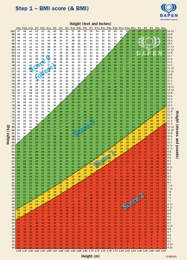 BMI score chart showing height and weight ranges divided into underweight, normal weight, overweight, and obese categories.
