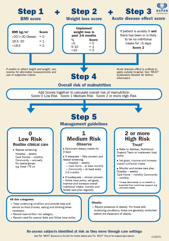 A clinical malnutrition risk assessment flowchart showing five steps: BMI score, weight loss score, acute disease effect score, overall malnutrition risk, and management guidelines for low, medium, and high-risk patients.