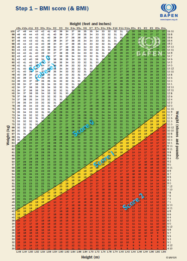 
BMI score chart showing height and weight ranges divided into underweight, normal weight, overweight, and obese categories.
